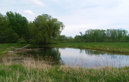 Land Sale Testimonials